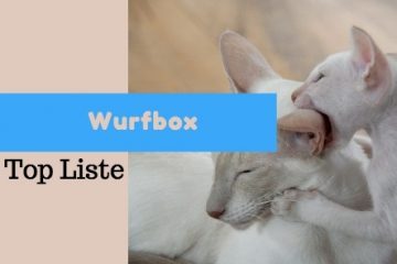 wurfbox